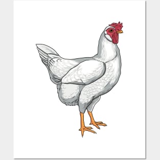 Leghorn Chicken Posters and Art